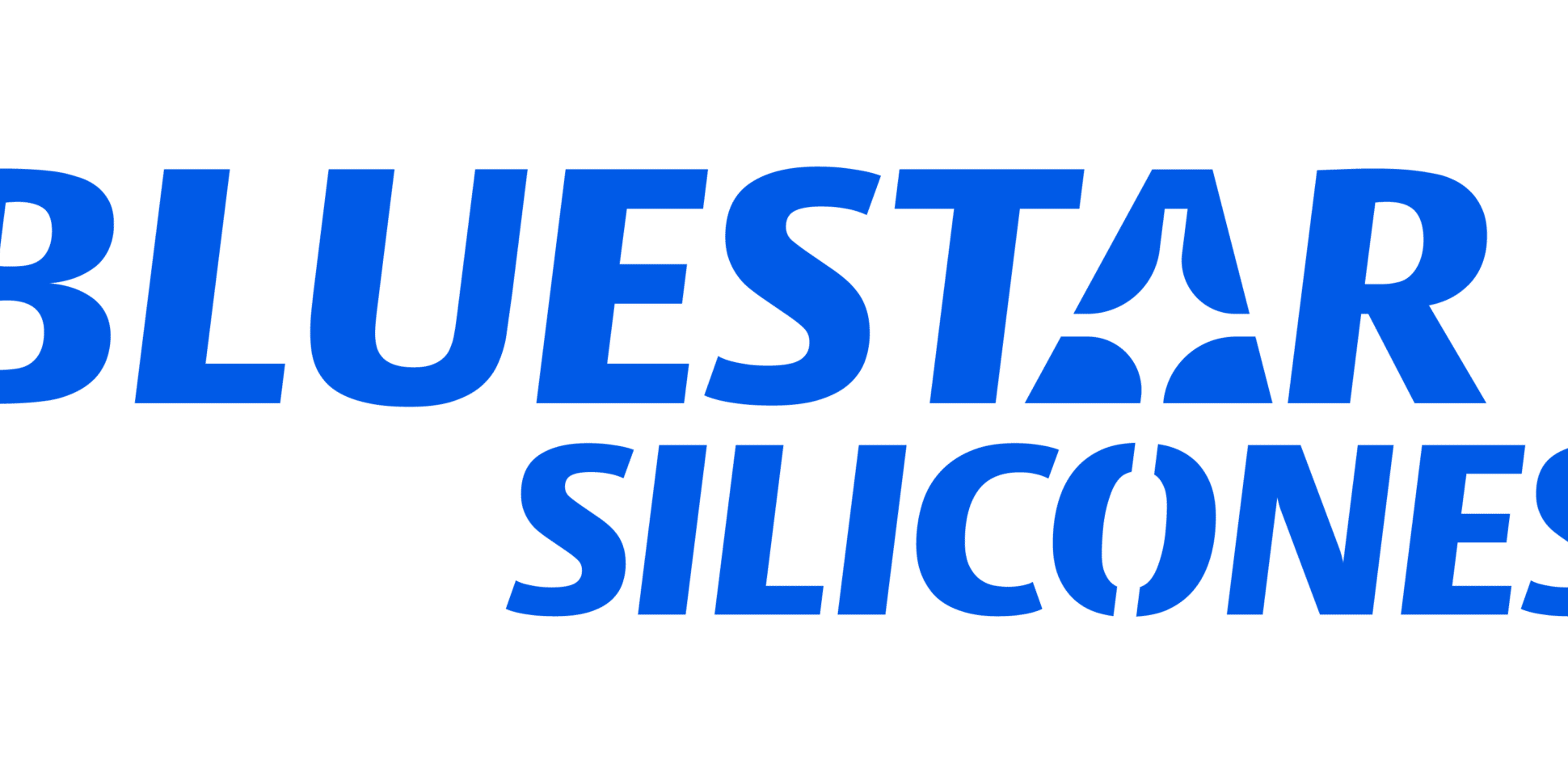 Logo bluestar silicones