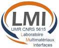 Logo-LMI