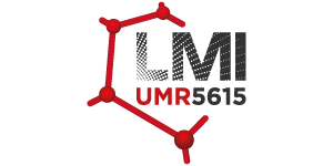 LMI logo-LMI