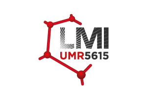 logo-LMI
