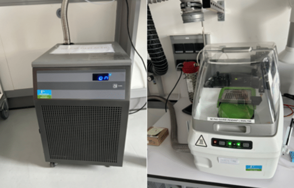 DSC 8000 PERKIN ELMER